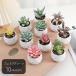  искусственная зелень искусственный цветок интерьер смешанные товары украшение . салон орнамент закрытый оборудование орнамент суккулентное растение маленький размер меньше настольный зеленый розовый желтый симпатичный симпатичный ...