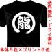 プロ野球応援ドライTシャツ(カラー5色) 漢字おもしろTシャツ 龍Tシャツ 中日ドラゴンズ 一文字バックプリント 送料無料 河内國製作所