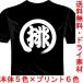 バレーボールドライTシャツ(カラー5色) 排球Tシャツ 一文字バックプリント 送料無料 河内國製作所