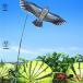  птица .. кайт ястреб ( paul (pole) стержень есть ) легкий крепкий защита от птиц . птица .. поле растения защита сельское хозяйство для кайт ястреб 1.5m кайт 4m paul (pole) 
