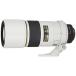 Nikon ñ������� Ai AF-S Nikkor 300mm f/4D IF-ED �饤�ȥ��졼 �ե륵�����б�