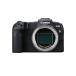 Canon �~���[���X���J���� EOS RP �{�f�B(�����Y�Ȃ�)�u���b�N/APS-C/EOS RP �{�f�B