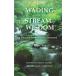 Wading into the Stream of Wisdom: Essays in Honor of Leslie S. Kawamura (Contemporary Issues in Buddhist Studies)