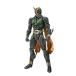 TAMASHII NATIONS S.H. figuarts дыра The - Agito 