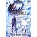FINAL FANTASY 4 NDS версия World Master Guidesk одежда * enix официальный гид (V Jump книги )