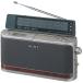 SONY TV(1ch-12ch)/FM/AM радио ICF-A100V-N