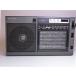 SONY FM/AM/ радио NIKKEI портативный радио ICF-EX5MK2