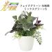  light. comfort . fake green Mix green S photocatalyst artificial flower 