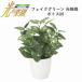  light. comfort . fake green pothos M photocatalyst artificial flower 