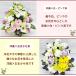 �� ������ ������� ���� �@�� ���� ���� �y�b�g ������ ���ފ� ���~ ����� �O��� ����� �l�\��� ������ �@�v �t�����[�A�����W�����g �Ԕ_�ƒ��� �������� �֘A�摜5