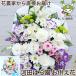 ���ؑ�T�C�Y �������� ������ ������� �� �@�� ���� ���� ����� �O��� ������ �������� �@�v ���� ���ފ� ���~ �t�����[�A�����W�����g �y�b�g ��������