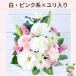 �� ������ ������� ���� �@�� ���� ���� ���ފ� ���~ �y�b�g ������ ����� �O��� ����� �l�\��� ������ �@�v �t�����[�A�����W�����g �Ԕ_�ƒ��� �������� �֘A�摜4