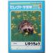  учеба .K-55. прямое владение . белый одноцветный 30 листов (100 иен магазин 100 иен единообразие 100 единообразие 100.)
