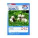  Note ( учеба .) B5...8 форель ×6 line 60 страница начальная школа 1 год сырой направление (100 иен магазин 100 иен единообразие 100 единообразие 100.)