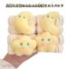 2�Z�b�g ��烊�X�g�o���h ���f�B�[�X ���G��h�~ ���O�b�Y ���p ���� ���� ���o���h �ӂ�ӂ� �z�� �^�I�����n ���R���R ���� ��玞