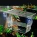  рыба размножение box аквариум двойной Guppy .. сегрегация box box 2 слой размножение box размножение сегрегация box многофункциональный производство яйцо коробка выращивание для рыба разведение аквариум икра 
