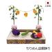 �~�p�i �~�񓔁w ����߂�~�I���� �x �R���p�N�g �~�j�T�C�Y ���� �茳���{ ���~���{ ���n ���� ����n ���~ �V�~ ���~ �~���� ���킢��