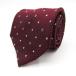  простой fre-zkla bat бренд галстук точка рисунок мужской красный SIMPLE PHRASE CRAVAT