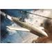 b кирпич n1/72 Yokosuka MXY7 Sakura цветок модель 11 пластиковая модель BRP72027