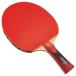  butterfly (Butterfly) ping-pong Raver .. racket water . Hayabusa 2000 16930 16930