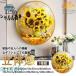 5D �t���_�C�������h�G�� �h�J�L�b�g �r�[�Y�G�� �ǂɓ\��t���[�� DIY���� ���S�� ��l�̎q����������_�C�������h�A�[�g ���� ���蕨