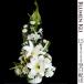 . flower natural flower karumM |. flower memorial service .. law necessary family Buddhist altar 