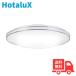  ho ta lux ( старый NEC) HLDZE14302SG LED потолочный светильник 14 татами днем свет цвет style свет простой отсутствие таймер репеллент от моли функция 5 год гарантия сделано в Японии [ бесплатная доставка ]