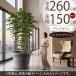 �x���W���~�� ��^ ������� �C���e���A�O���[�� �t�F�C�N�O���[�� ���A�� �ϗt�A�� �l�H���� �p�[�e�[�V���� �Ԏd�؂� �ډB�� ���� ���t�� ���C�h�����O 260cm