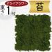 сухой цветок гора мох yama мох Moss модный популярный натуральный материалы природа материалы материалы для цветочной композиции материал аранжировка цветов дисплей оборудование орнамент садоводство сопутствующие товары модный зеленый большой пакет 1kg