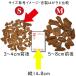 �o�[�N �l�C �o�[�N�`�b�v S�T�C�Y �E�b�h�`�b�v �S��3�`4cm�O�� 12���b�g�� 2�܃Z�b�g �V�R�f�� ���|�p�i �K�[�f�j���O �������� �}���`���O ���� �ԍ� �o�[�O �֘A�摜2