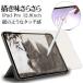 iPad Pro 12.9 6 5 4 3 ե ݸ ڡѡ 饤 ȿɻ Screen Protector ѥå PL3775IPP129 饹Хʥ