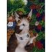  бриллиант фиксирующие детали кошка. dayan BlackBerry .. уже DF2L-wf001[KN] бисер . комплект бриллиант искусство 