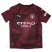  Junior man Cesta - City 24-25 3rd короткий рукав копия форма [PUMA| Puma ] Club Team копия одежда -775099-03