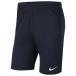 DRI-FIT park 20 Short KZobsiti Anne [NIKE| Nike ] футбол футзал одежда -cw6152-451