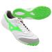  утечка задний SALA PRO TF super white pearl × neon зеленый [MIZUNO| Mizuno ] футбол футзал тренировочная обувь q1gb251