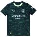  Junior man Cesta - City 25-26 4th короткий рукав копия форма [PUMA| Puma ] Club Team копия одежда -782694-04