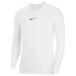 DRI-FIT park First re year белый [NIKE| Nike ] футбол футзал одежда -av2609-100