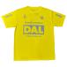 DAL.... dry короткий рукав футболка желтый [SoccerJunky| футбол Jean ключ ] футбол футзал одежда -cp25a12-yel