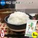 米 お米 5kg 無洗米 新潟 新潟産こしいぶき 28年産 コシイブキ 送料無料/無洗米吟精 新潟産こしいぶき5kg