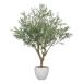γڱ(2025ǯ) ꡽2.5Ω ֡2606A4000 ⤵250cm - ȥꥨ [/͹տʪ]