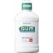 GUM�@�f���^�������X�@250ml