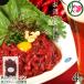  sake. закуска . великолепно .. басаси yuke50g×4Pyuke. соус 2 пакет есть Fuji chik железо *g Ricoh gen низкий калории * низкий сахар качество 