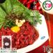  sake. закуска . великолепно .. басаси yuke50g×10Pyuke. соус 2 пакет есть Fuji chik железо *g Ricoh gen низкий калории * низкий сахар качество 
