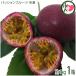  Okinawa prefecture production passionfruit freezing approximately 1kg 13~16 sphere ×1 box sun child agriculture .