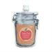 Apple Days アップルデイズ ジャーパウチ バスソルト 210g(淡いオレンジ色 りんごの香り 入浴剤)