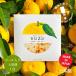 高知県産 YUZU ピール入り バスソルト 40g 1包 ゆずの香り 柑橘系 日本製 入浴剤 アロマ 精油配合 ゆず湯 自然由来 保湿 美容 温活 睡眠 お風呂 半身浴 角質