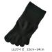 [ предварительный заказ товар ] комфорт поддержка носки Junior ... для (JH1BK)[ черный ][LLL][CS носки ]* поступление последовательность последовательный доставка 