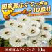 ふぐ　ふぐ刺し　国産真ふぐのてっさ１０皿