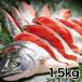  удобный жизнь Hokkaido производство [ лосось арамаки 1 шт ( разрезанный )]1.5kg
