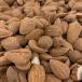 �Ñ㐶�A�[�����h/500g �g���� TORELLI AGRICOLTORE �֘A�摜2